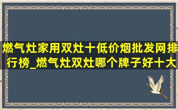 燃气灶家用双灶十(低价烟批发网)排行榜_燃气灶双灶哪个牌子好十大排名