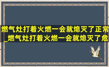 燃气灶打着火燃一会就熄灭了正常_燃气灶打着火燃一会就熄灭了危险吗