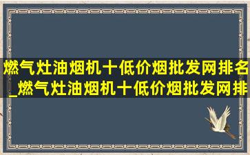 燃气灶油烟机十(低价烟批发网)排名_燃气灶油烟机十(低价烟批发网)排名榜