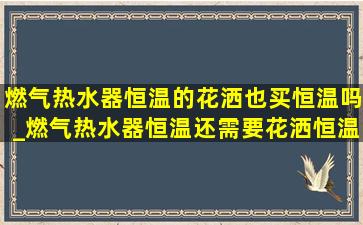 燃气热水器恒温的花洒也买恒温吗_燃气热水器恒温还需要花洒恒温吗