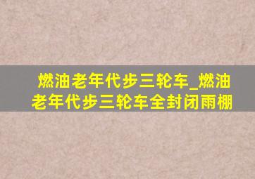 燃油老年代步三轮车_燃油老年代步三轮车全封闭雨棚