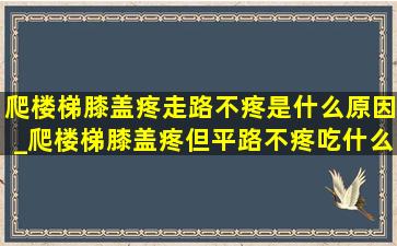 爬楼梯膝盖疼走路不疼是什么原因_爬楼梯膝盖疼但平路不疼吃什么药