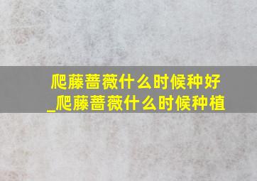 爬藤蔷薇什么时候种好_爬藤蔷薇什么时候种植