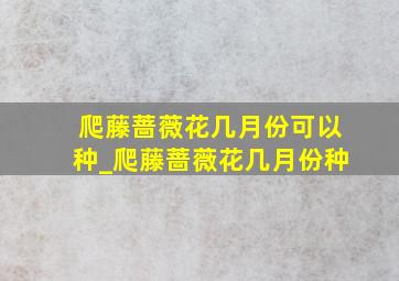 爬藤蔷薇花几月份可以种_爬藤蔷薇花几月份种