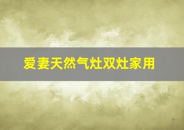 爱妻天然气灶双灶家用