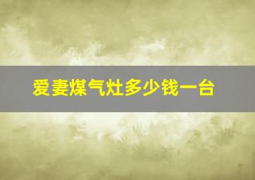 爱妻煤气灶多少钱一台