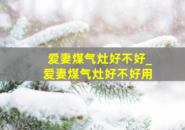 爱妻煤气灶好不好_爱妻煤气灶好不好用