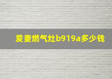 爱妻燃气灶b919a多少钱