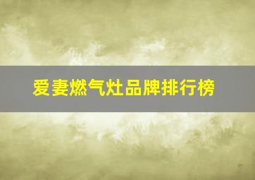 爱妻燃气灶品牌排行榜