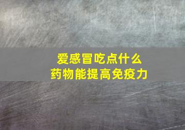 爱感冒吃点什么药物能提高免疫力