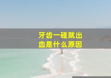 牙齿一碰就出血是什么原因