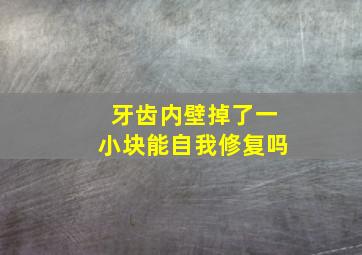 牙齿内壁掉了一小块能自我修复吗