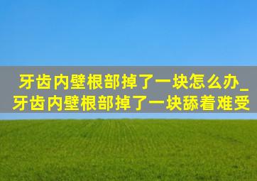 牙齿内壁根部掉了一块怎么办_牙齿内壁根部掉了一块舔着难受