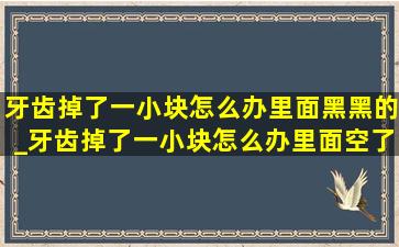 牙齿掉了一小块怎么办里面黑黑的_牙齿掉了一小块怎么办里面空了