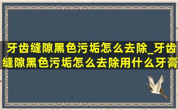 牙齿缝隙黑色污垢怎么去除_牙齿缝隙黑色污垢怎么去除用什么牙膏