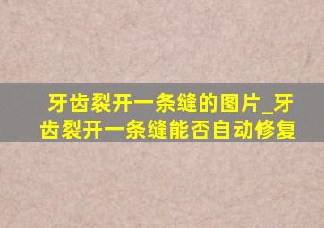 牙齿裂开一条缝的图片_牙齿裂开一条缝能否自动修复