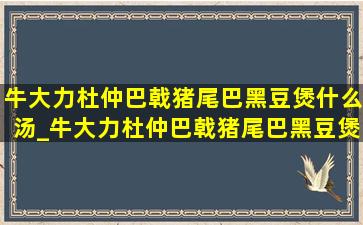 牛大力杜仲巴戟猪尾巴黑豆煲什么汤_牛大力杜仲巴戟猪尾巴黑豆煲汤