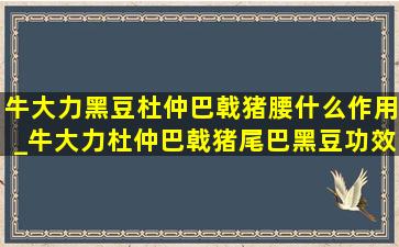 牛大力黑豆杜仲巴戟猪腰什么作用_牛大力杜仲巴戟猪尾巴黑豆功效