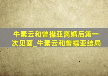 牛素云和曾襟亚离婚后第一次见面_牛素云和曾襟亚结局