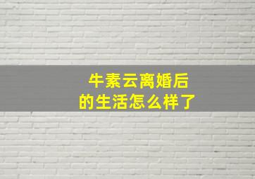 牛素云离婚后的生活怎么样了