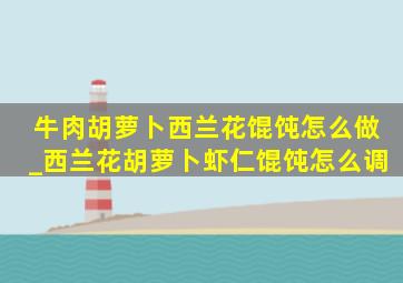 牛肉胡萝卜西兰花馄饨怎么做_西兰花胡萝卜虾仁馄饨怎么调