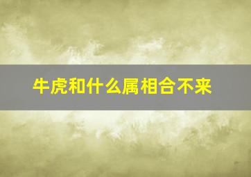 牛虎和什么属相合不来