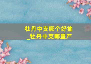 牡丹中支哪个好抽_牡丹中支哪里产