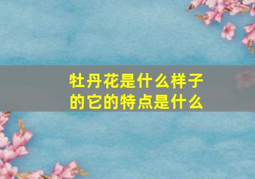 牡丹花是什么样子的它的特点是什么