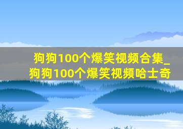 狗狗100个爆笑视频合集_狗狗100个爆笑视频哈士奇