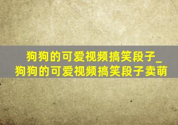 狗狗的可爱视频搞笑段子_狗狗的可爱视频搞笑段子卖萌