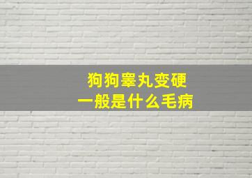 狗狗睾丸变硬一般是什么毛病