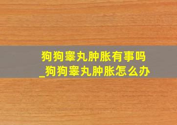 狗狗睾丸肿胀有事吗_狗狗睾丸肿胀怎么办