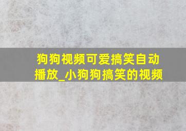 狗狗视频可爱搞笑自动播放_小狗狗搞笑的视频