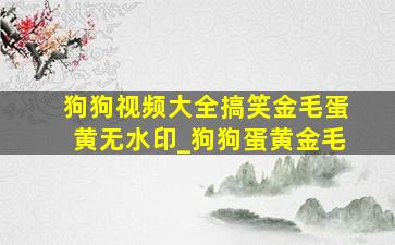 狗狗视频大全搞笑金毛蛋黄无水印_狗狗蛋黄金毛