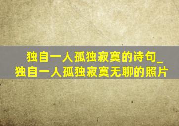 独自一人孤独寂寞的诗句_独自一人孤独寂寞无聊的照片