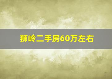 狮岭二手房60万左右