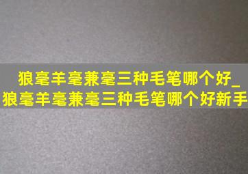 狼毫羊毫兼毫三种毛笔哪个好_狼毫羊毫兼毫三种毛笔哪个好新手