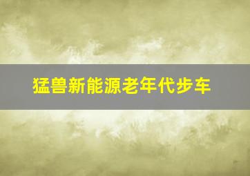 猛兽新能源老年代步车