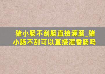 猪小肠不刮肠直接灌肠_猪小肠不刮可以直接灌香肠吗