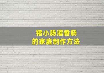 猪小肠灌香肠的家庭制作方法