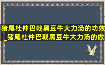 猪尾杜仲巴戟黑豆牛大力汤的功效_猪尾杜仲巴戟黑豆牛大力汤的做法