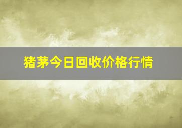 猪茅今日回收价格行情