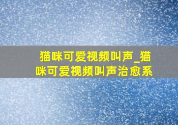 猫咪可爱视频叫声_猫咪可爱视频叫声治愈系