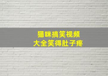 猫咪搞笑视频大全笑得肚子疼