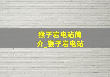 猴子岩电站简介_猴子岩电站