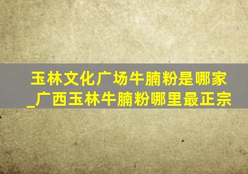 玉林文化广场牛腩粉是哪家_广西玉林牛腩粉哪里最正宗