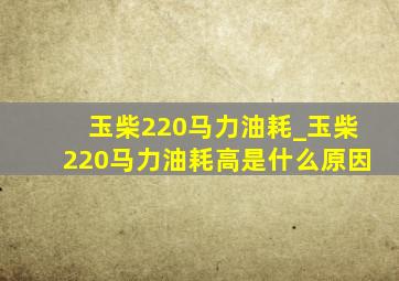 玉柴220马力油耗_玉柴220马力油耗高是什么原因