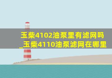 玉柴4102油泵里有滤网吗_玉柴4110油泵滤网在哪里