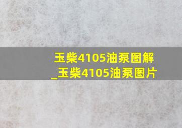 玉柴4105油泵图解_玉柴4105油泵图片