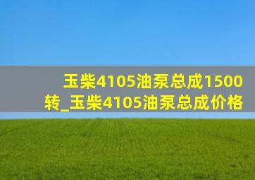 玉柴4105油泵总成1500转_玉柴4105油泵总成价格